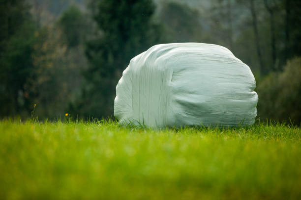 Hay ball in plastic cover on a green meadow