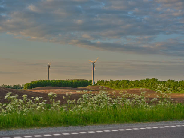 Wind Turbines Windmill Energy Farm. Green ecological power energy generation. Alternative energy plant. Windmill in a rural area during sunset.  Denmark.