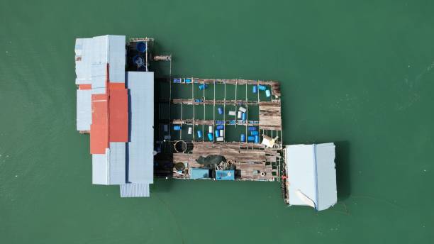 istock Langkawi, Malaysia – June 24, 2022 2170602930