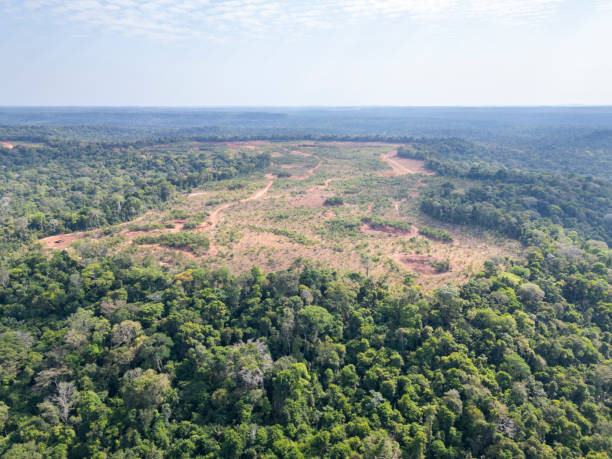 istock Deforested area on top of a plateau being prepared for bauxite mining 2170609026
