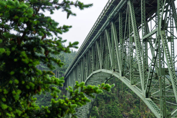 istock Green bridge in focus with green tree in foreground 2170613679