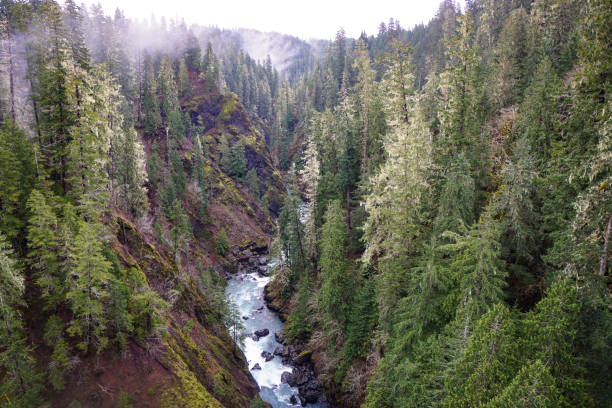 istock Blue river flows between rocky hills, trees, and fog 2170613683