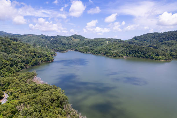 istock Top view Lake or pond nature environment 2170617784
