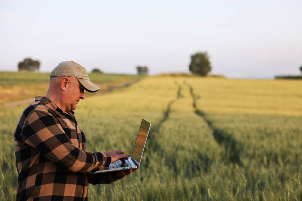 istock Farmer working with laptop on wheat field. 2170626025