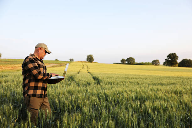 istock Farmer working with laptop on wheat field. 2170626233