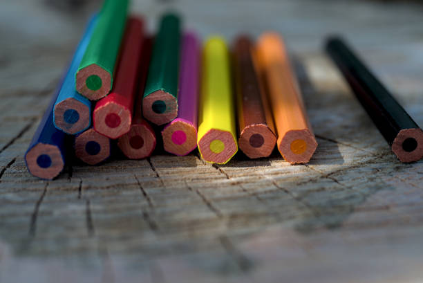 Row of colorful pencils