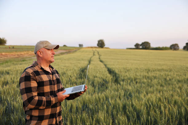 istock Farmer working with laptop on wheat field. 2170629227