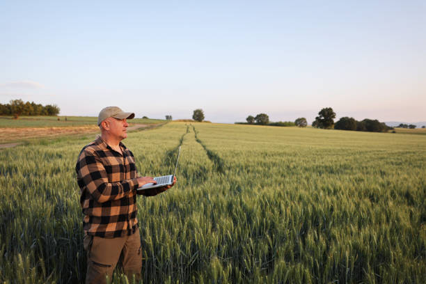 istock Farmer working with laptop on wheat field. 2170629238
