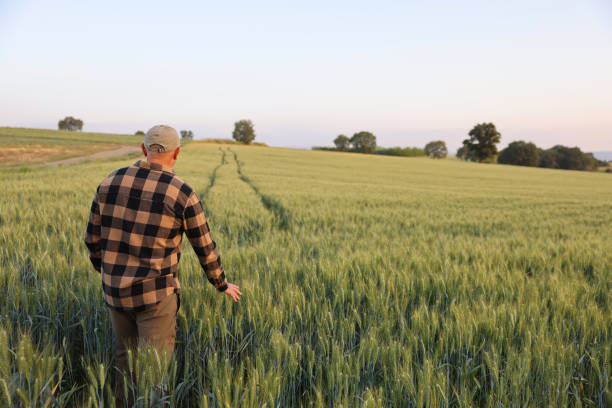 istock Farmer standing in wheat field 2170629782
