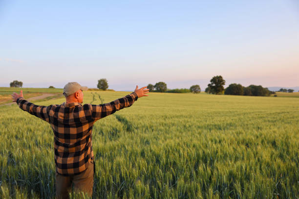 istock Farmer with arms outstretched standing in wheat field 2170629818