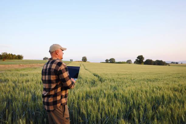 istock Farmer working with laptop on wheat field. 2170629927