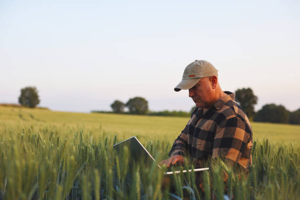istock Farmer working with laptop on wheat field. 2170630469