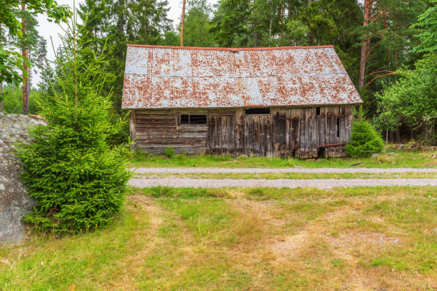 The shot captures an old wooden house hidden among dense forest vegetation, displaying color changes in early autumn from green to yellow. The abandoned structure creates an atmosphere of solitude and wilderness,