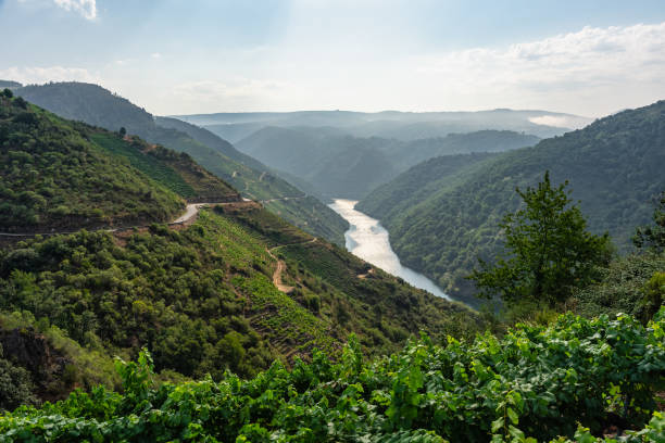 istock Sil River Canyon with grape vines on its slopes producing wine, Ribeira Sacra, Galicia 2170634474