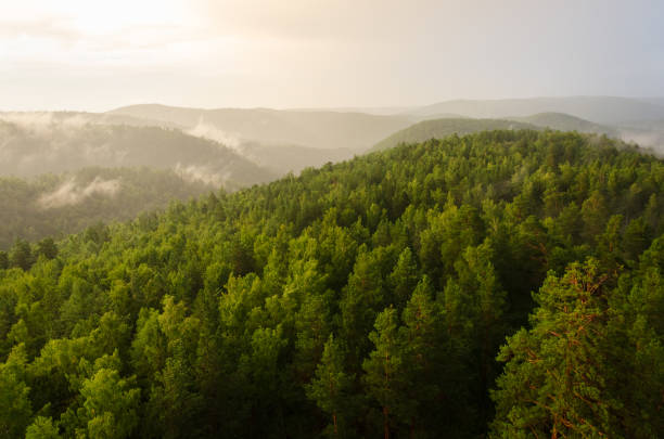 istock Forest on the Mountain light fall on clearing mists at sunset sky background. Hight quality photo of nature 2170636057