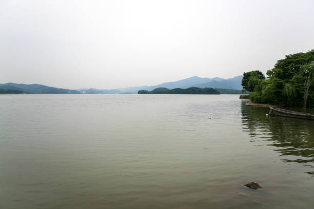 tranquil scene in summer