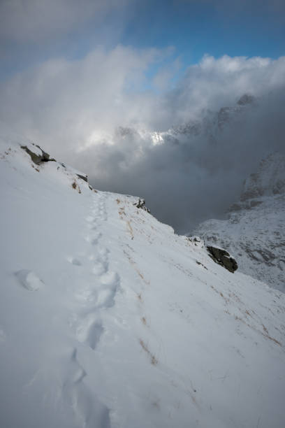 Mountain landscape, High Tatras, winter. Traveling along winter trails in the mountains.