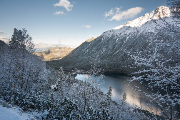 istock Trees covered with fresh snow in beautiful mountain scenery, High Tatras. 2170636367