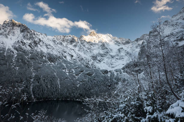 istock Trees covered with fresh snow in beautiful mountain scenery, High Tatras. 2170636381