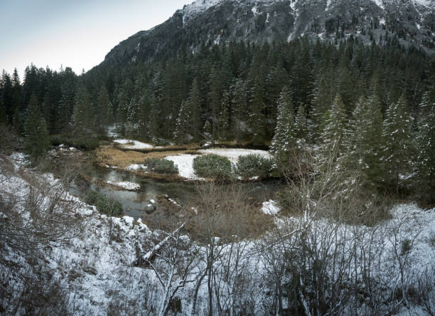 istock Trees covered with fresh snow in beautiful mountain scenery, High Tatras. 2170636404