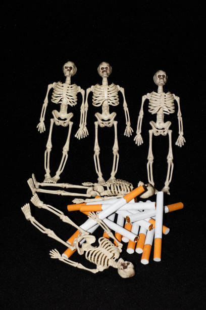 istock Several miniature skeletons lie around a stack of cigarettes. danger smoking 2170639275
