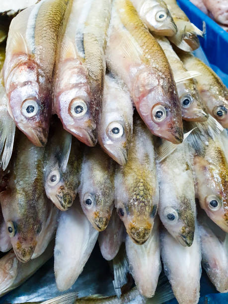 istock frozen capelin fish in a box on a market day. 2170640271