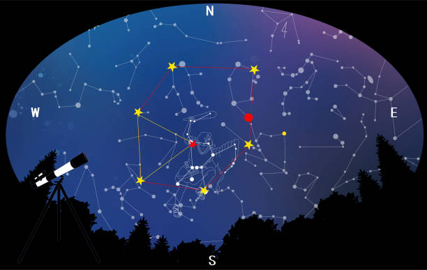 Winter Constellations: Forest Night Sky, Winter Triangle, and Winter Diamond. This is an image of looking up at the sky from inside the forest. This is an illustration of the Winter Triangle and Winter Diamond, centered around Orion, a representative winter constellation. orion stars stock illustrations