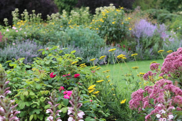 istock Colourful flower beds in a garden in summer 2170647873