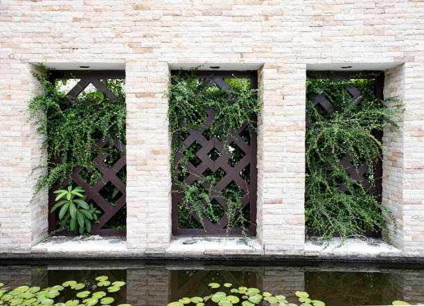 tropical plants and wooden fence , decorative outdoor design in tropical countries