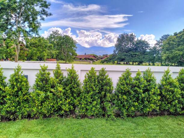 istock View of a red roofed house 2170658443