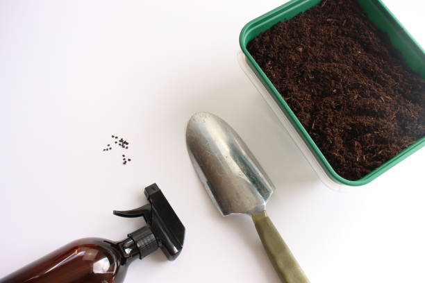 istock Green flowerpot with a metal spatula close-up. 2170659590