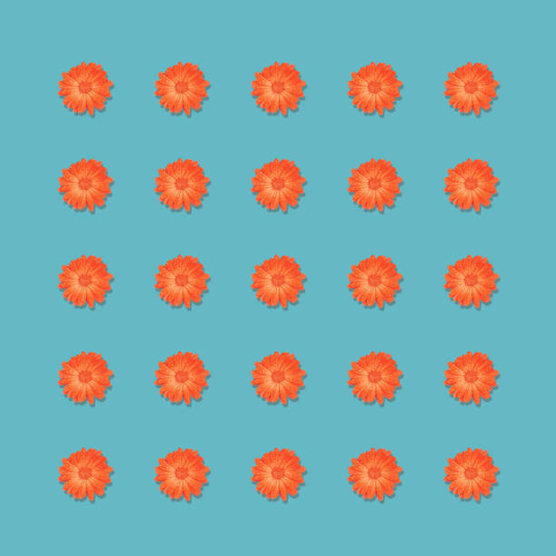 Square pattern of red flowers isolated on blue background.