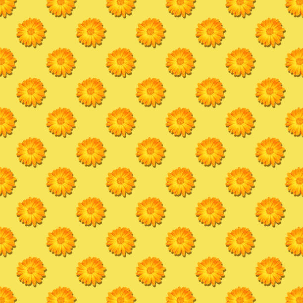 Square seamless pattern of orange flowers isolated on a yellow background.