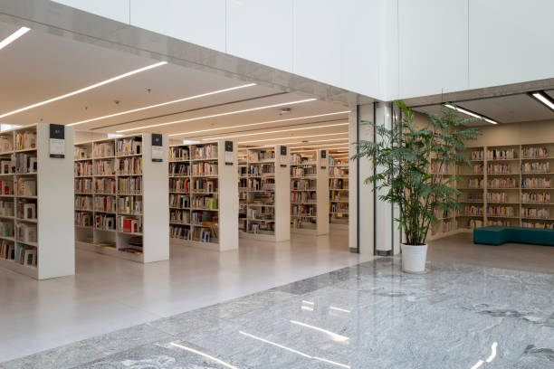 istock The neat rows of bookshelves in the library 2170664876