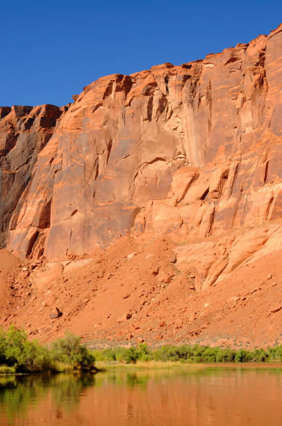 istock Colorado River Arizona 2170670453