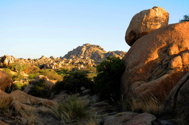 istock Texas Canyon Sonora Desert Arizona 2170670547