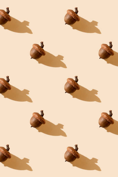 istock Pattern from acorns on pastel background. Autumn print. Thanksgiving day. Botany design 2170670792