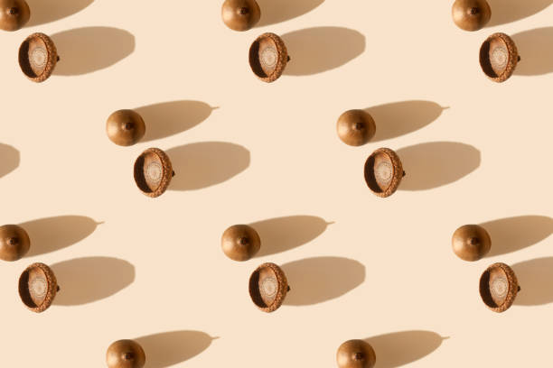istock Pattern from acorns on pastel background. Autumn print. Thanksgiving day. Botany design 2170670806
