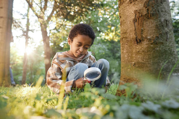 istock Boy Sitting on Grass in Wood 2170672578