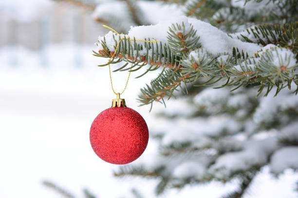 istock a red ornament hangs on a tree with snow on the branches 2170688002