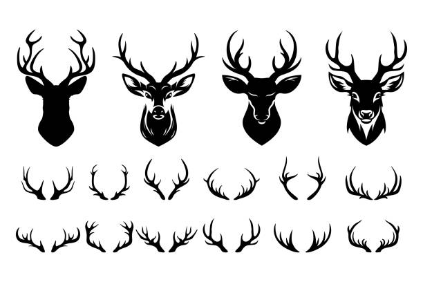 Vector Reindeer Antlers and Horn Icon Set. Deer Silhouettes and Heads Collection. Hand-Drawn Antler Symbols. Animal Antlers for Christmas, New Year, Wildlife, Hunting, Hipster Design Elements.