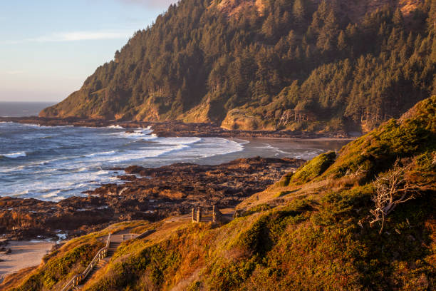 Cape Perpetua view in the Oregon Pacific coast