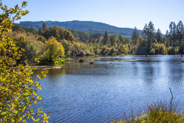 Beautiful view of The Siuslaw River