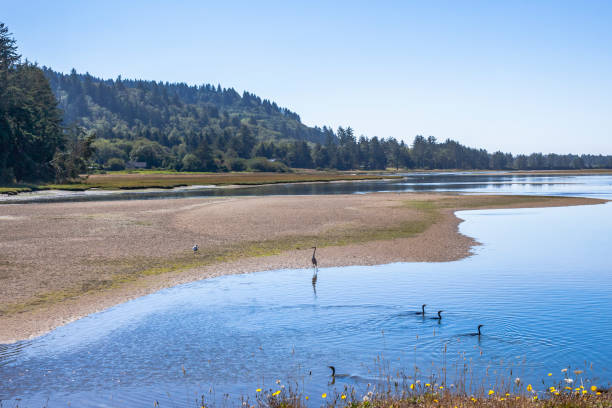 istock Sand Lake in Tillamook area, Oregon 2170692837