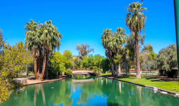 istock Quiet Lagoon At Local Park 2170693213