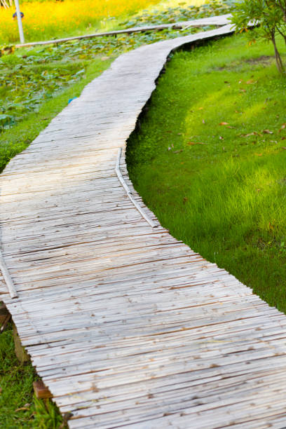 Wooden footpath in  Wachirabenchathat Park (Rot Fai Park) in Bangkok Chatuchak