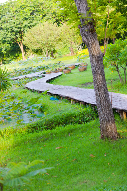 istock Winding Wooden footpath in  Wachirabenchathat Park 2170696808