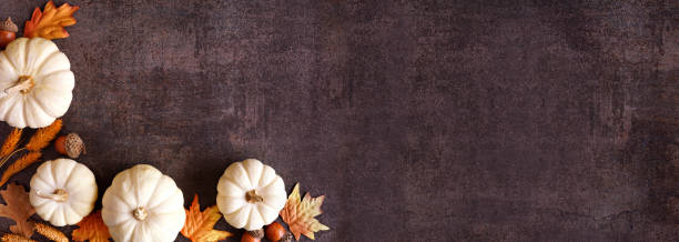 istock Fall corner border of white pumpkins with orange and brown autumn decor on a rustic dark stone banner background 2170698571