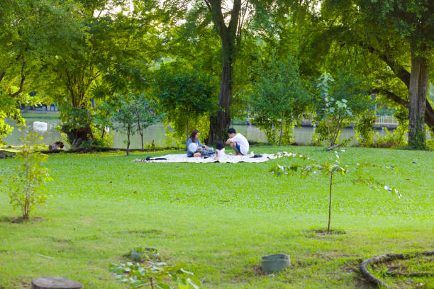 Young thai family with one child is relaxing and having a picnic  in  Wachirabenchathat Park (Rot Fai Park) in Bangkok Chatuchak at afternoon. The child is sitting between adults. Woman has her hands in a bag in front of her. A bag is a ballon. Man is deep squatting. They on grass area in front trees. Behind trees is a pond. Girl and man have natural black hair