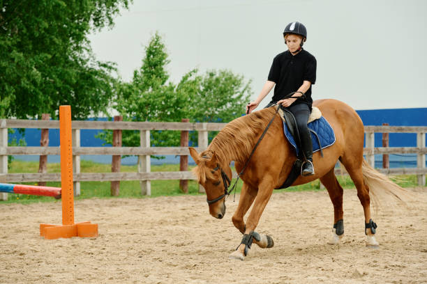 istock Practicing Horse Riding in Outdoor Arena 2170700505